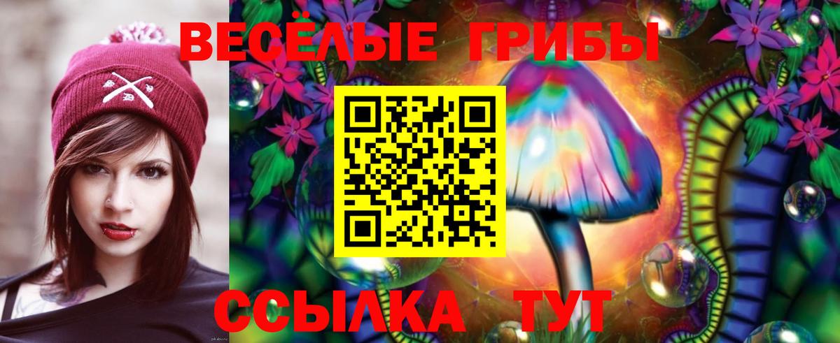 Галлюциногенные грибы Cubensis Чехов