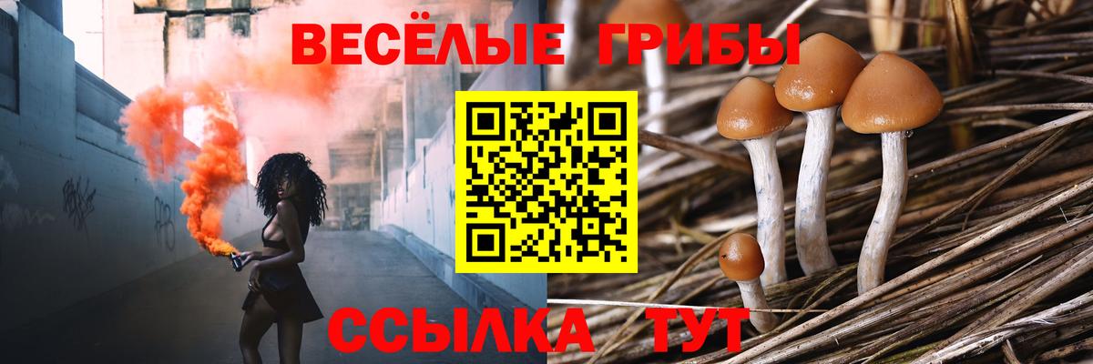 Псилоцибиновые грибы мицелий  Вход с VPN  Чехов 